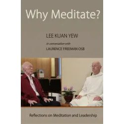 Why Meditate? Reflections on Meditation & Leadership DVD